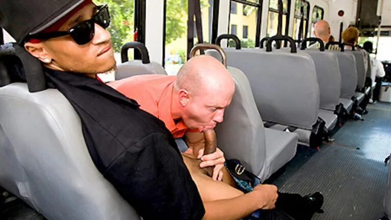 What Happens on The Bus, Stays on The Bus